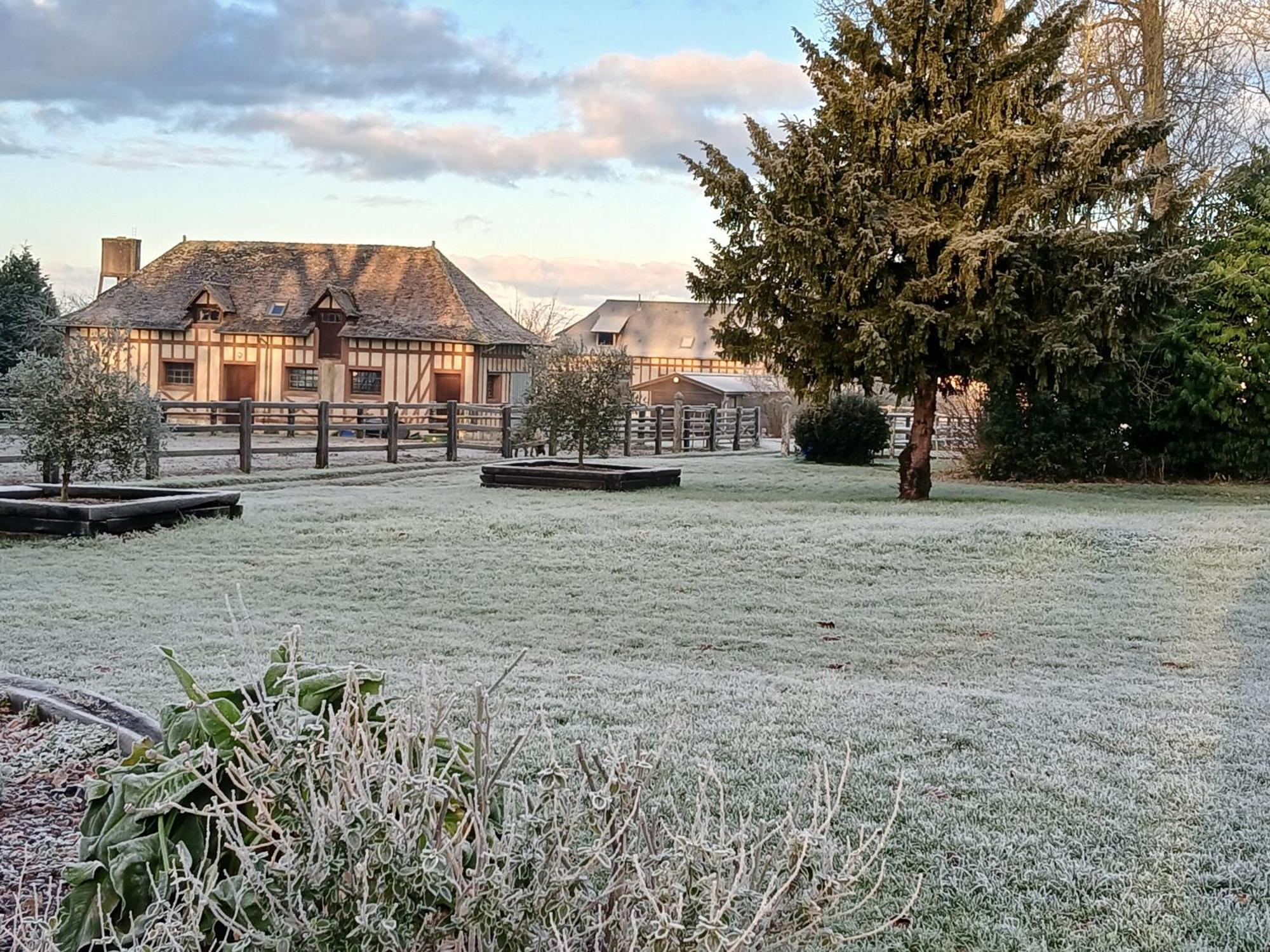 Domaine Des Ifs Bed & Breakfast Le Pin  Екстериор снимка