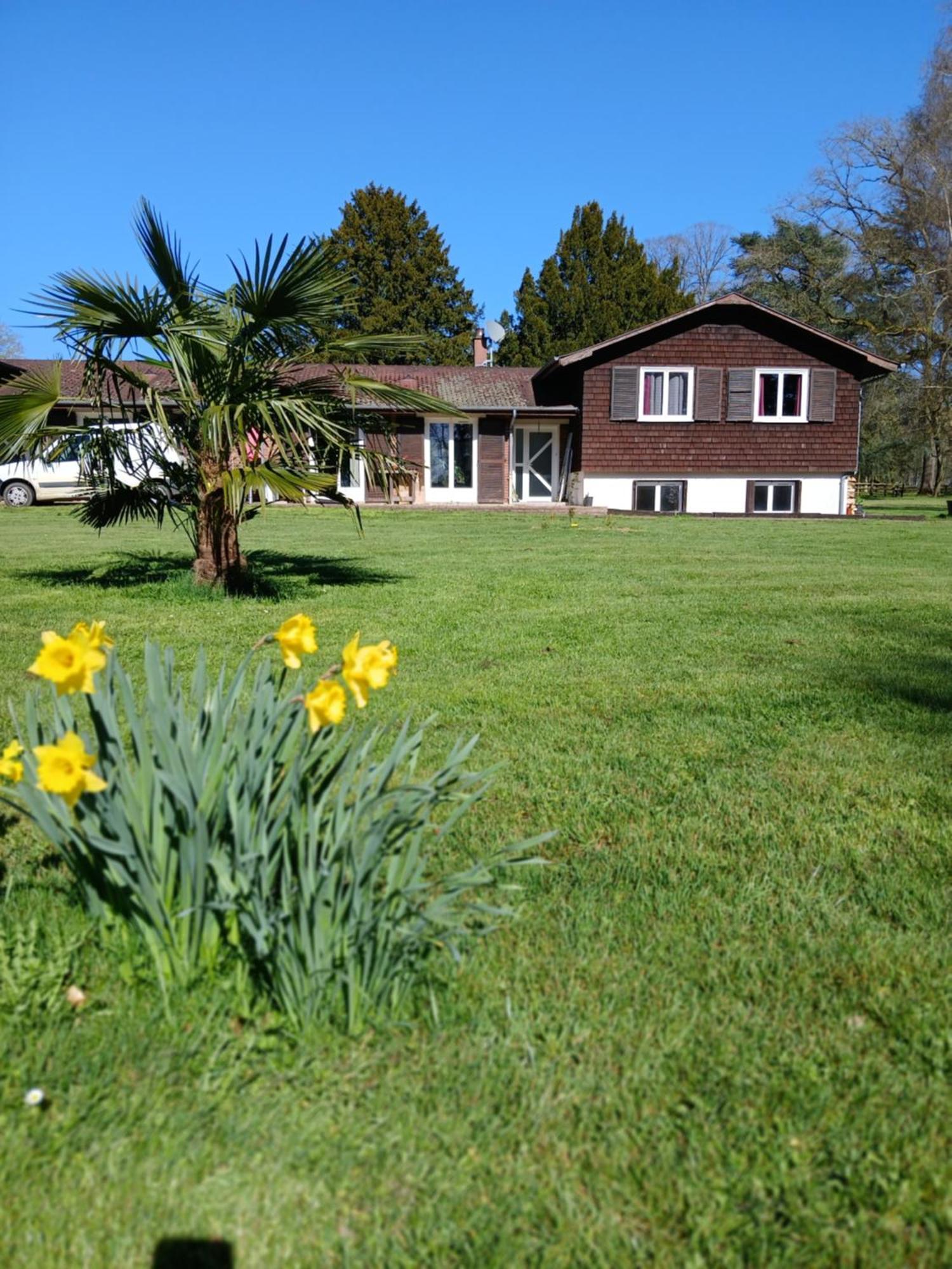 Domaine Des Ifs Bed & Breakfast Le Pin  Екстериор снимка