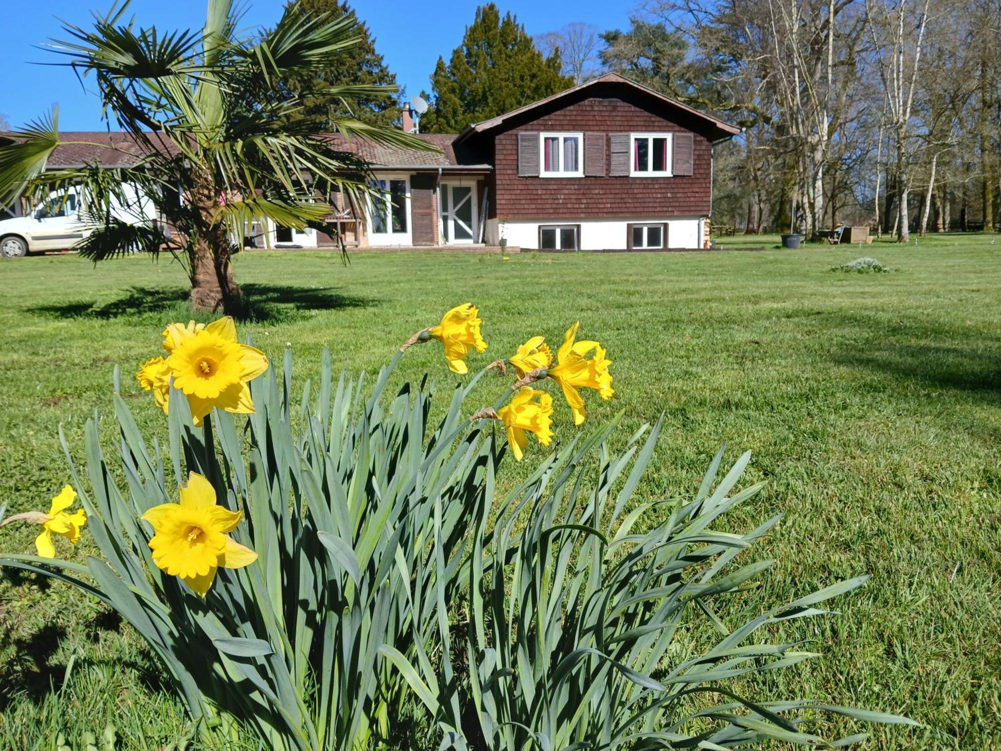 Domaine Des Ifs Bed & Breakfast Le Pin  Екстериор снимка