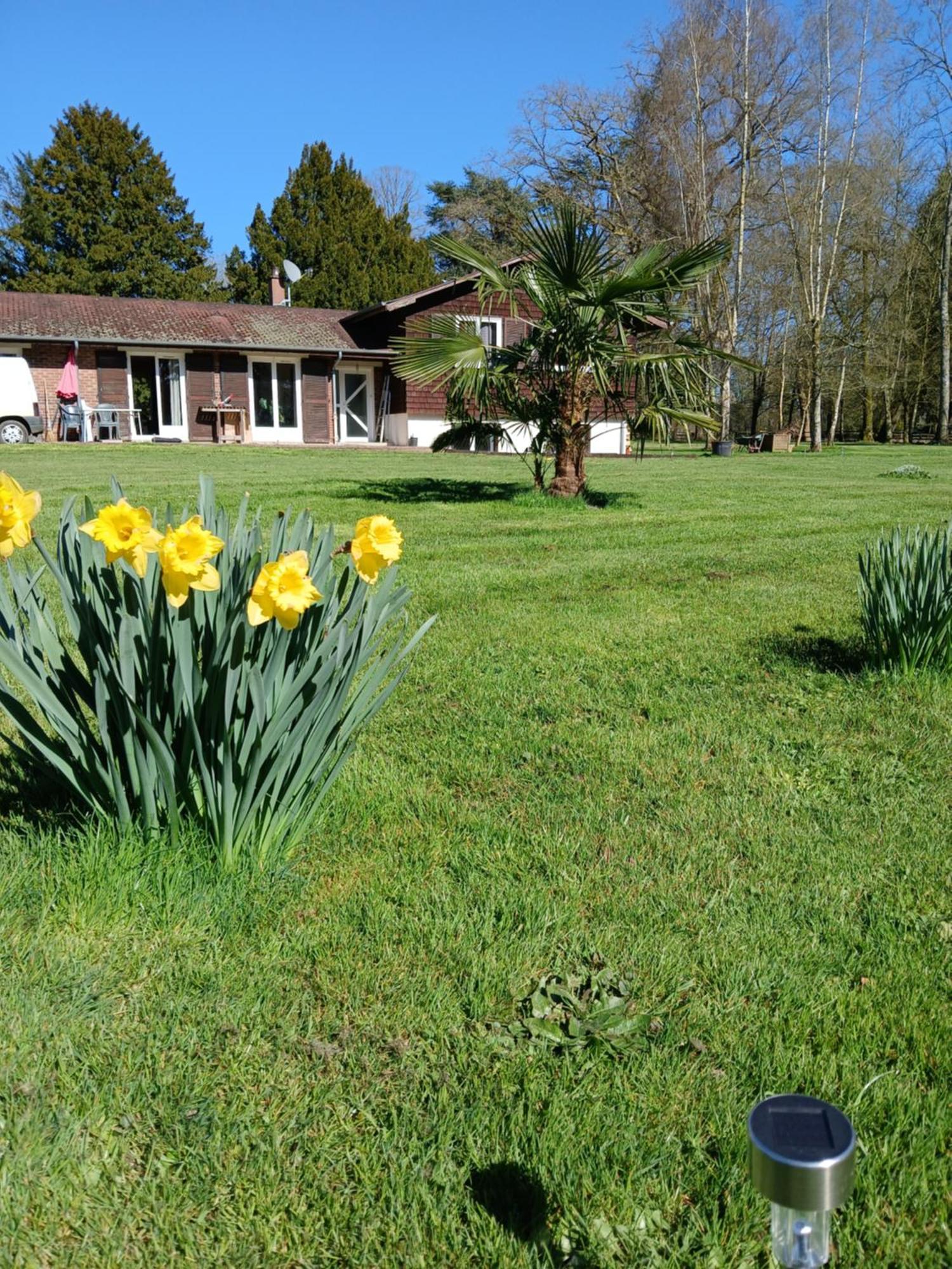 Domaine Des Ifs Bed & Breakfast Le Pin  Екстериор снимка