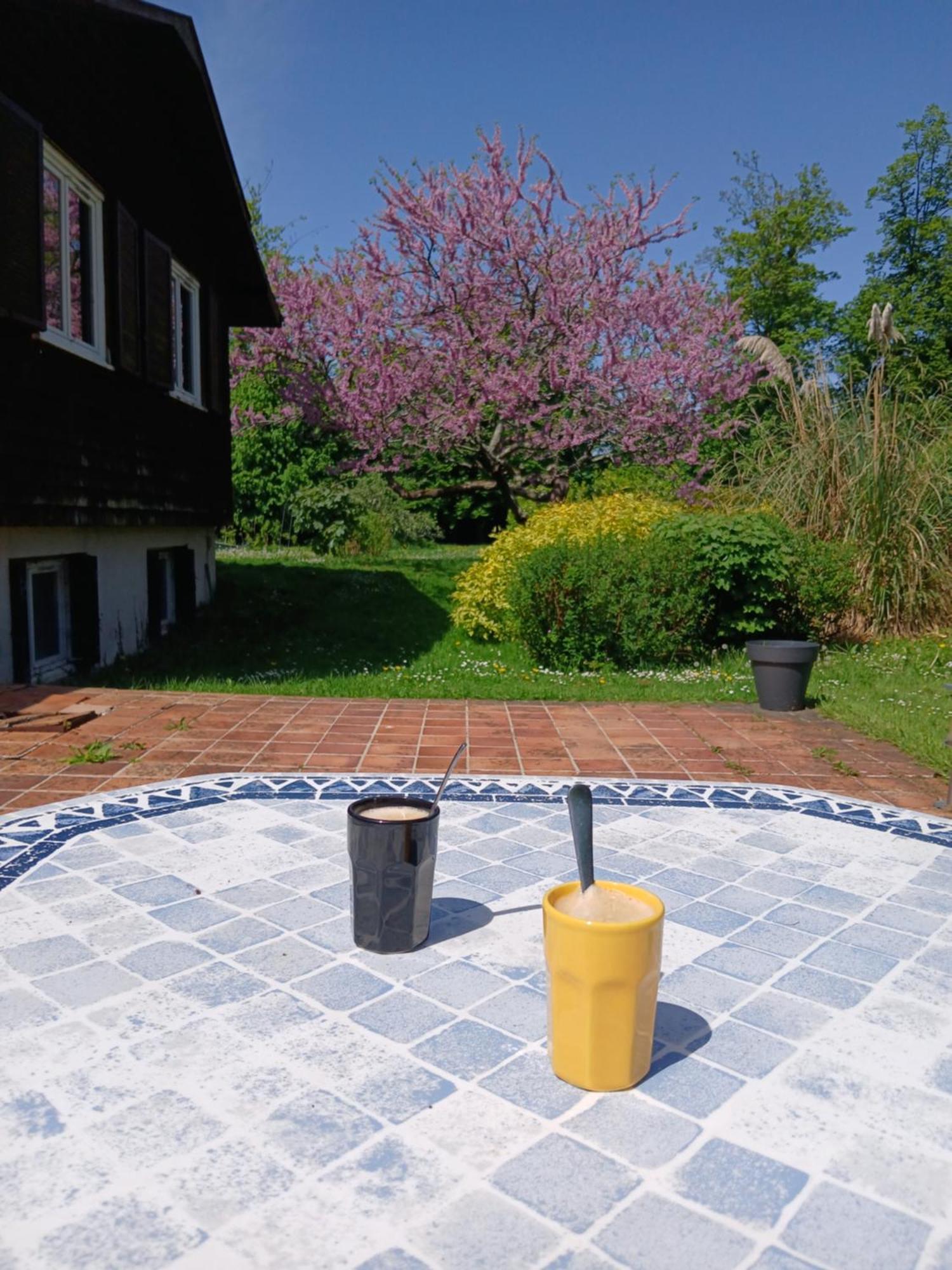 Domaine Des Ifs Bed & Breakfast Le Pin  Екстериор снимка