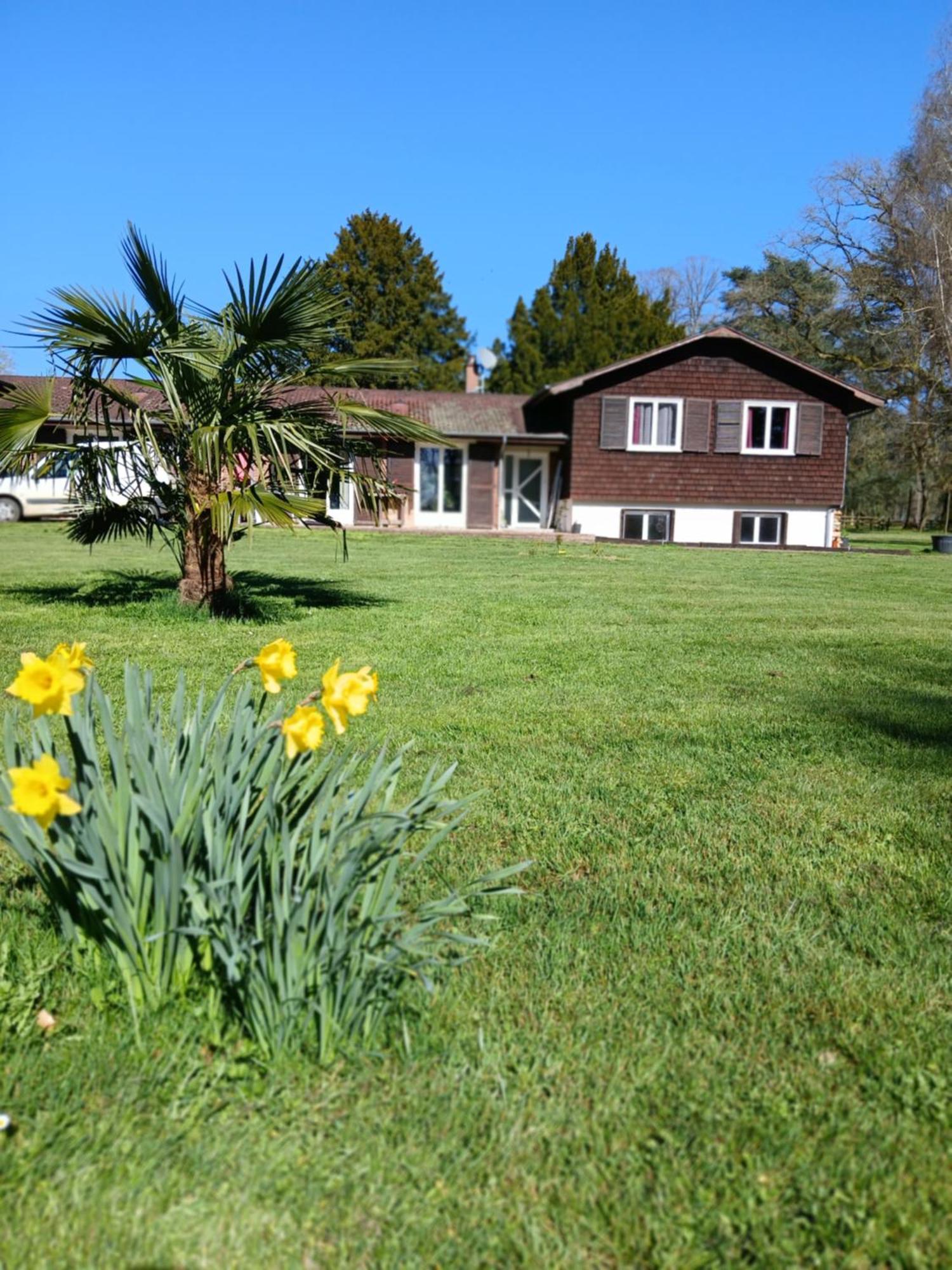 Domaine Des Ifs Bed & Breakfast Le Pin  Екстериор снимка