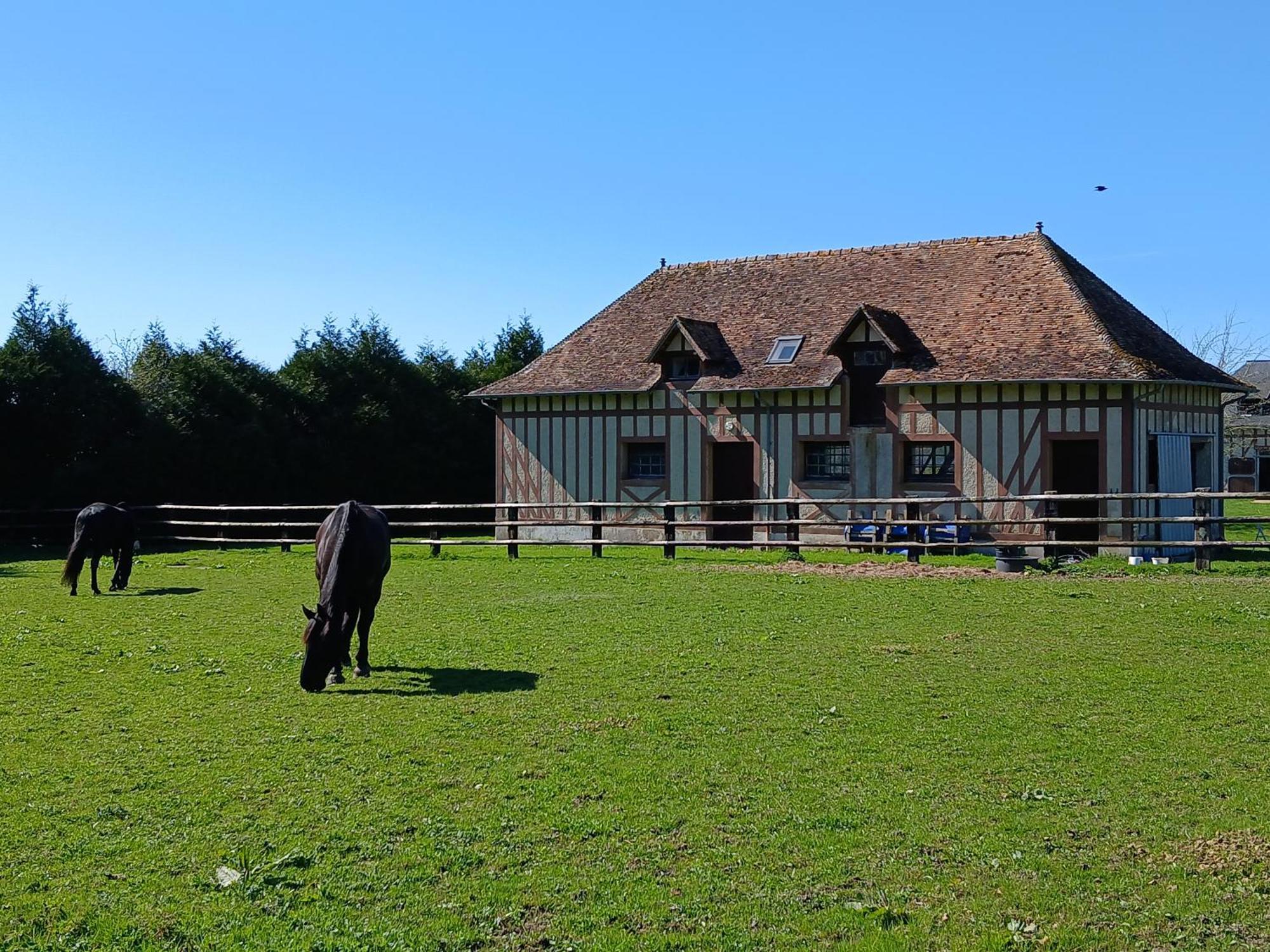 Domaine Des Ifs Bed & Breakfast Le Pin  Екстериор снимка